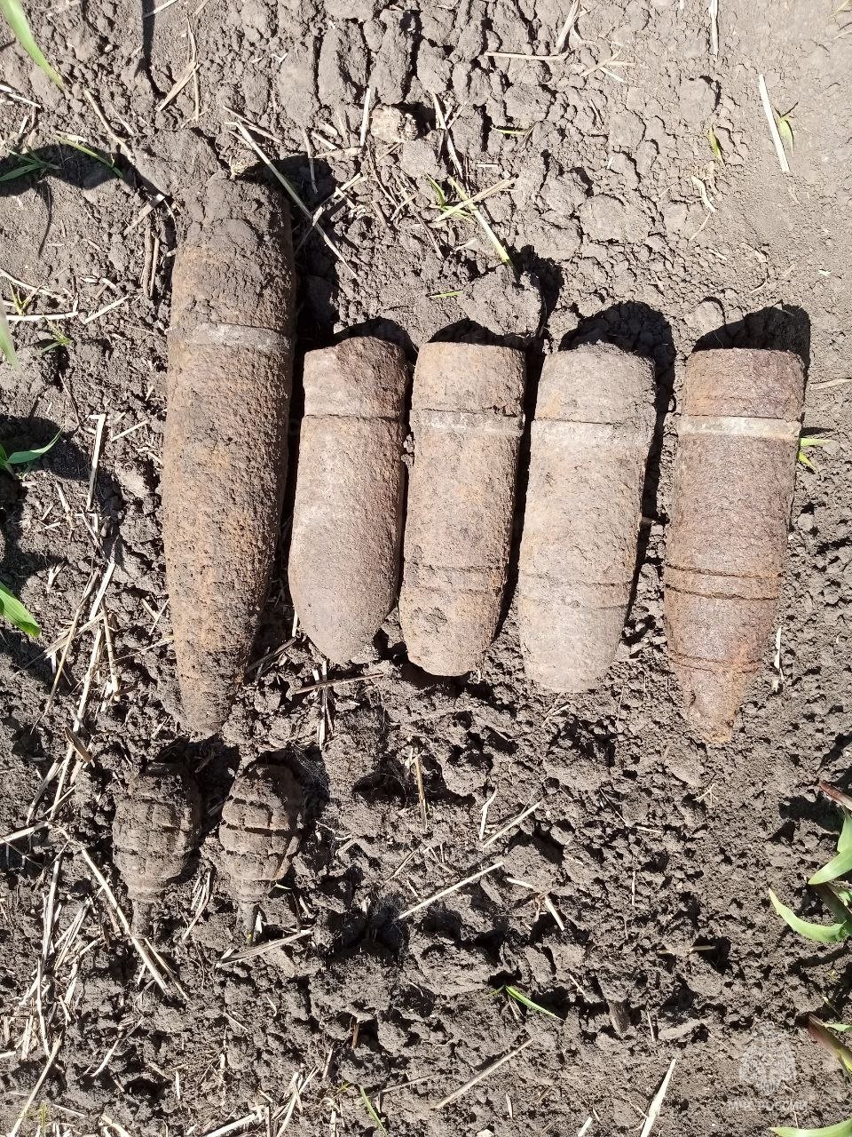 В селе Стрелецкое Белгородского района обнаружены взрывоопасные предметы